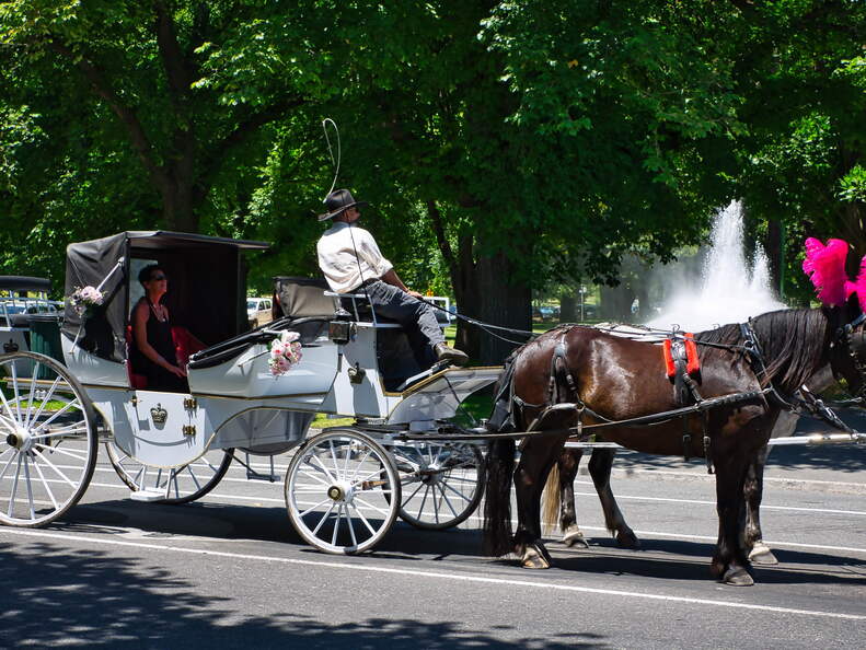 Australien 20140113 0860