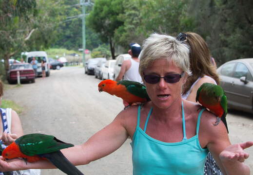 Australien 20140115 0905