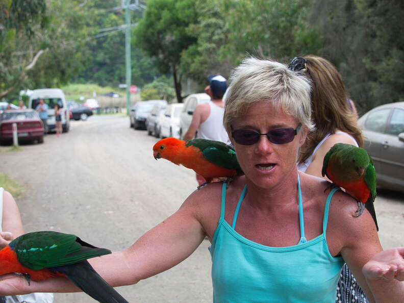 Australien 20140115 0905