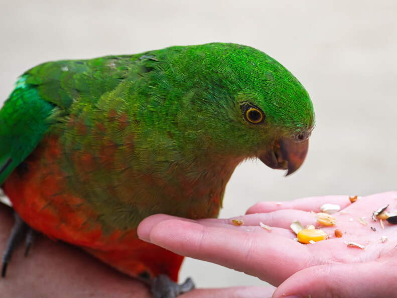 Australien 20140115 0907