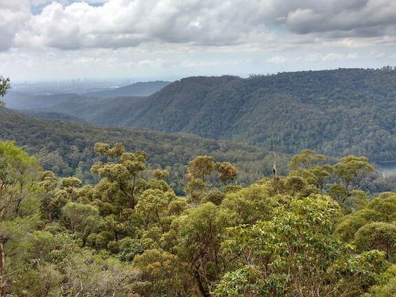 IMG 20160914 112651590 HDR