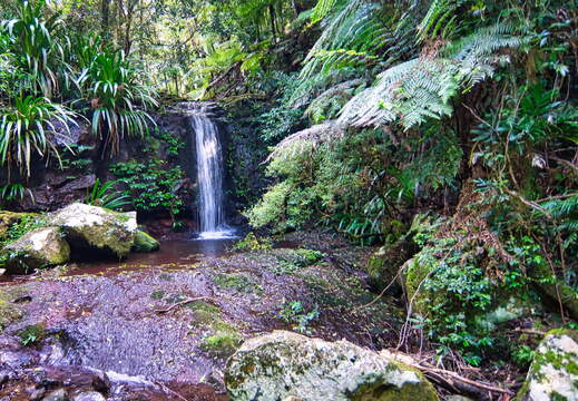 DSC 2492