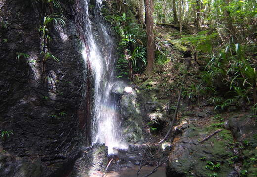 DSC 2517