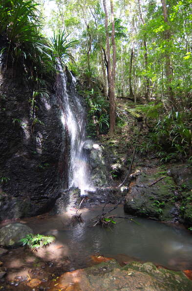 DSC_2517.jpeg