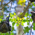 DSC 3031