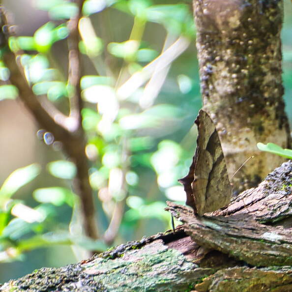 DSC_3714.jpeg