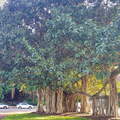 IMG 20161002 175456009