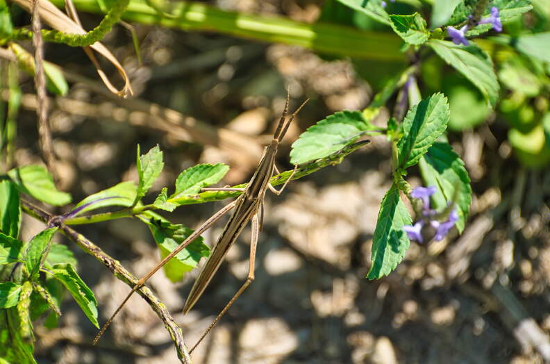 DSC_3936.jpeg