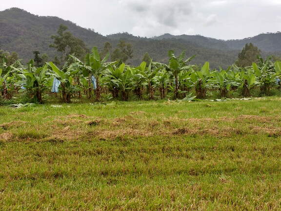 IMG 20161005 100651983 HDR