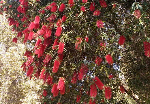 IMG 20161012 122158303