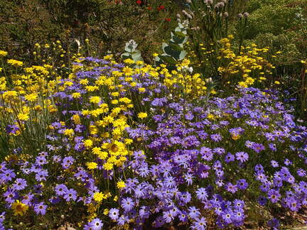 IMG 20161012 125542868