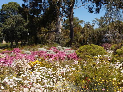 IMG 20161012 130032941