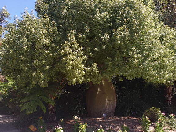 IMG 20161012 134134541