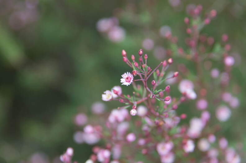 DSC_5303.jpeg