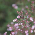 DSC 5303