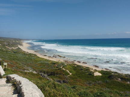 IMG 20161018 163203849