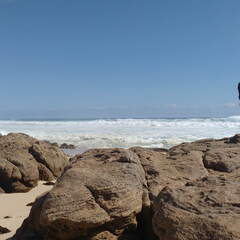 IMG 20161018 164119586