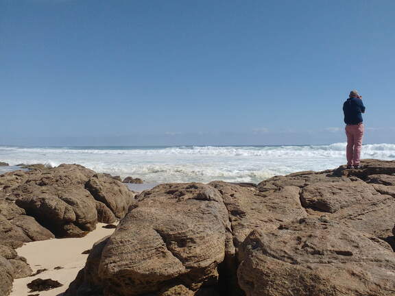 IMG 20161018 164119586