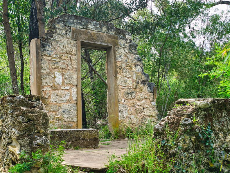 DSC 5587