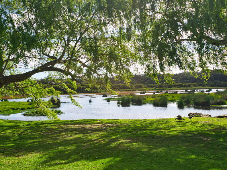 DSC 5605