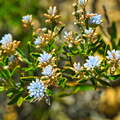 DSC 5685