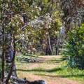 DSC 5765
