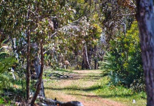 DSC 5765