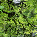 DSC05139