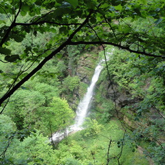 DSC05148