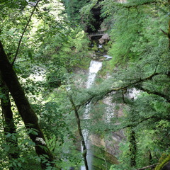 DSC05150