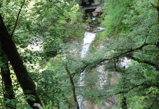 DSC05150