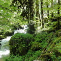 DSC05168