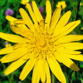 DSC05212