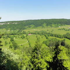 DSC05268