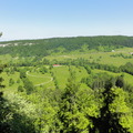 DSC05268