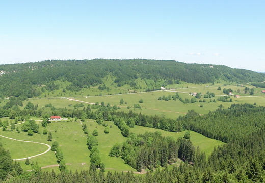 DSC05275