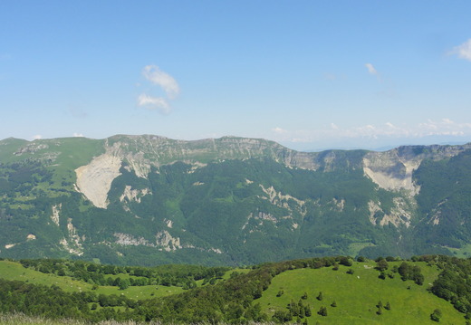 DSC05284