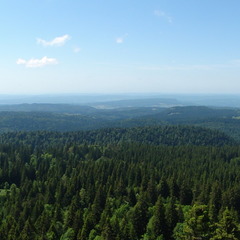 DSC05287