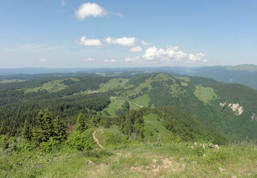 DSC05289