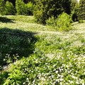 DSC05297