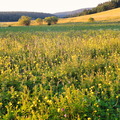 DSC05304