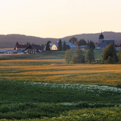 DSC05307