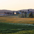 DSC05307