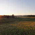 DSC05310