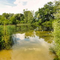 DSC05374