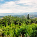 DSC05378
