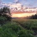 DSC05404