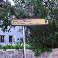 DSC05418