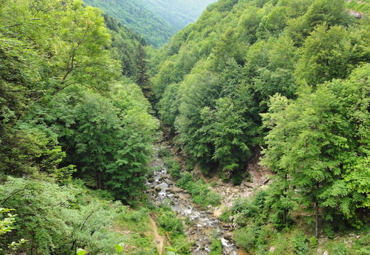 DSC05468