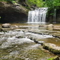 DSC05479